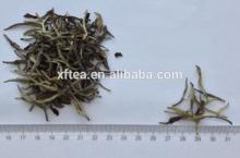 white tea bai hao  yin   zhen /white silver needle tea