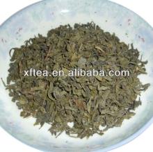China Green Tea OP