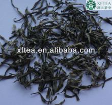 Xingyang Maojian Tea China famous tea