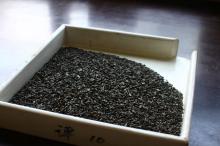 Gunpowder green tea 3505C