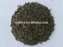china chunmee green tea 9368 green tea brand names