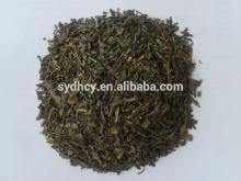 china chunmee green tea 9366 best green tea brand