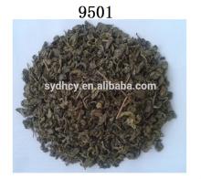 chinese diabetes gunpowder green tea 9501 the vert de chine