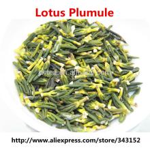 tea herbal lotus plumule chinese care health