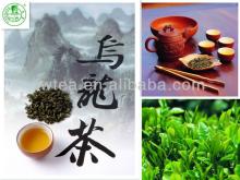  Taiwan   Milk   Oolong  tea