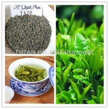 New spring Chunmee green tea 9370