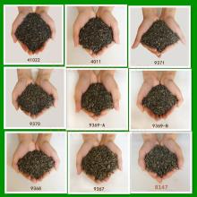 Chinese green tea slim fit tea for Dubai
