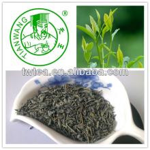 Chunmee Tea 9370 Best Green Tea factory