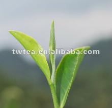 Organic  green   tea  slim life
