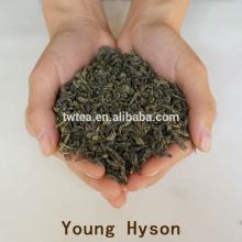 Wholesale Bulk Young Hyson Tea 8147