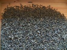 China organic Chunmee green tea 9370