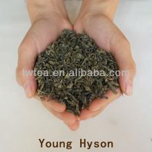 2013 new harvested Autum whole leaf Green Tea Young Hyson 8147