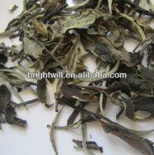white peony, Top quality chinese withe tea brands, famous best refine chinese tea