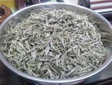 Organic White Tea Silver Needle White The highest grade of White Tea