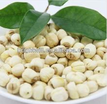 Top Dried Lotus Seed, Lianzi, Herbal Tea, Sun-Dried, Clear  Heat 