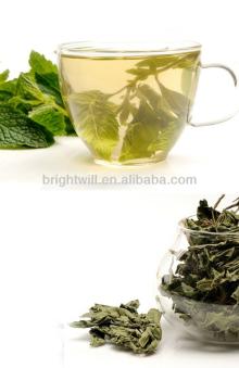 Wild mint dried mint tea spent good mint leaves