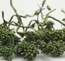 Ginseng Flower Herbal Tea