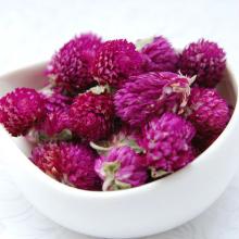 Pink Gomphrena Globosa Tea,Globe amaranth Flower