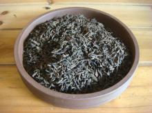 Yunnan puer Early Spring High quality loose tea