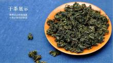 Jiaogulan herbal  tea , organic  Health  Eu standarad  gynostemma  pentaphylla
