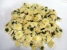 Organic Florists Chrysanthemum tea