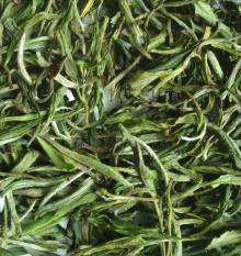 Maofeng green tea