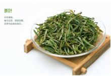  huangshan   maofeng 