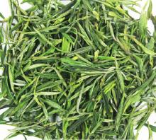  Green   tea , maofeng   green   tea 