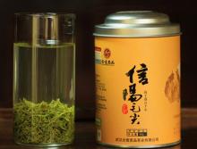 Xinyang maojian China high quality green tea EU standard
