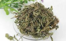  Dandelion   Tea / Pugongying, Herbal  Tea 