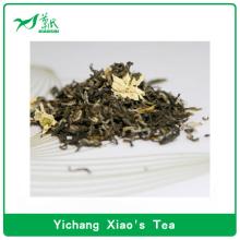China flowering jasmine tea