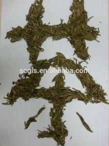 Chinese natural organic green tea