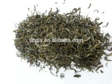 China biluochun green tea