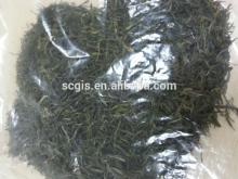 China organic  green  tea maojian