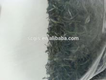 good quality Xinyang maojian tea leaf