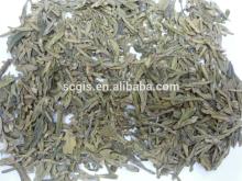 Chinese natural organic green tea manufacturer