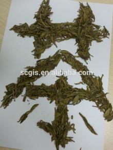 Famous organic longjing tea/fresh flavor green tea longjing