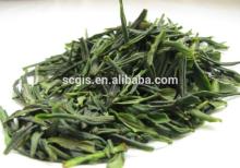 excellent aroma green tea/strong taste green tea with good vacuum package