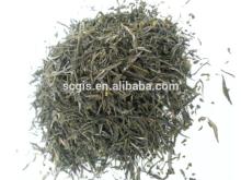 prevent dental caries green tea/clear bad breath green tea/green tea antibacterial