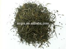 prevent dental caries green tea/green tea 25g/box/green tea antibacterial