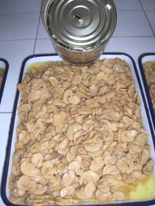 good quality canned slice mushroom cheap price good flavor