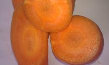 Fresh Carrots