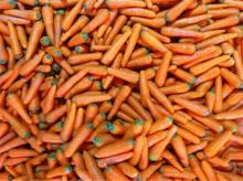 Professional Supplier  Bulk   Fresh   Carrot s