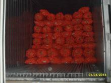 FRESH CARROT'S HOANG KIM VIETNAM VERY BEST QUALITY