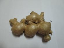 Fresh Ginger Best Quality and Best Price