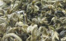 Famous Chinese Green tea Bi Luo Chun