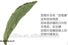 Herbal Tea Organic Stevia Leaf Tea ST002 health tea