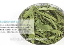Organic Stevia Leaf Herbal Tea ST002 slimming tea herbal tea