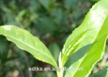 Top Class Lapsang Souchong tea XZ002, Red Tea Wuyi Black Tea chinese tea, slimming tea