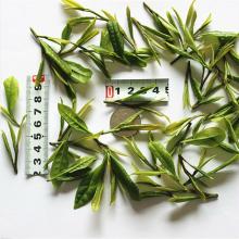 Chinese brand black tea tea farmers direct sale, natural organic tea